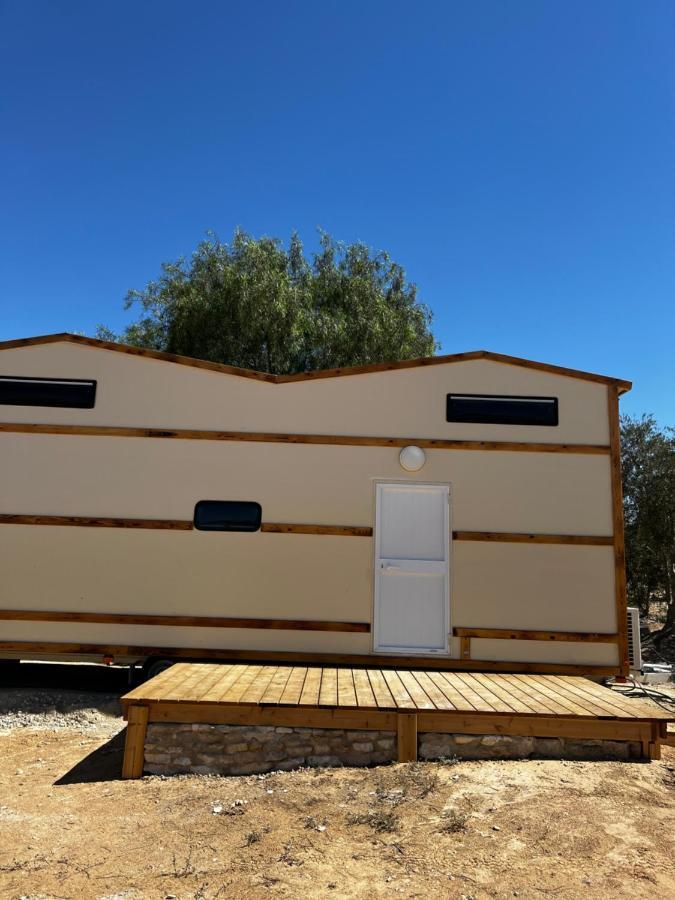 צימראוון בחוות זית המדבר Sede Boqer Exteriör bild